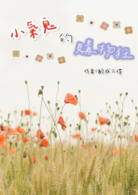 С�����Ĺ����