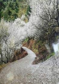 ����֮��