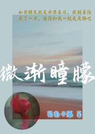 ΢��ͫ����1v1 �������