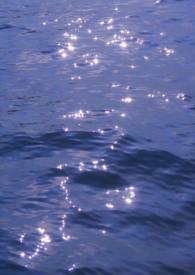 ���ˣ��������������