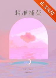 ��׼����