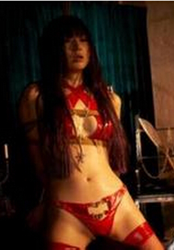 ���ʾ��ֲ�����