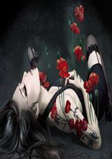 �����輧:��������