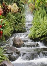 �续֮��ɽ(Ů��)