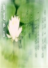 ˮ��np����~��~��~