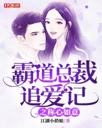 霸道总裁追爱记